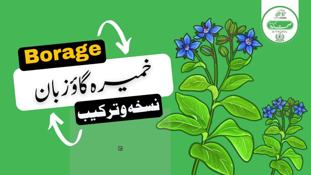 خمیرہ گاؤزبان کا مکمل تعارف، فوائد اور تیاری Khamira Gaozaban Benefits & Recipe|