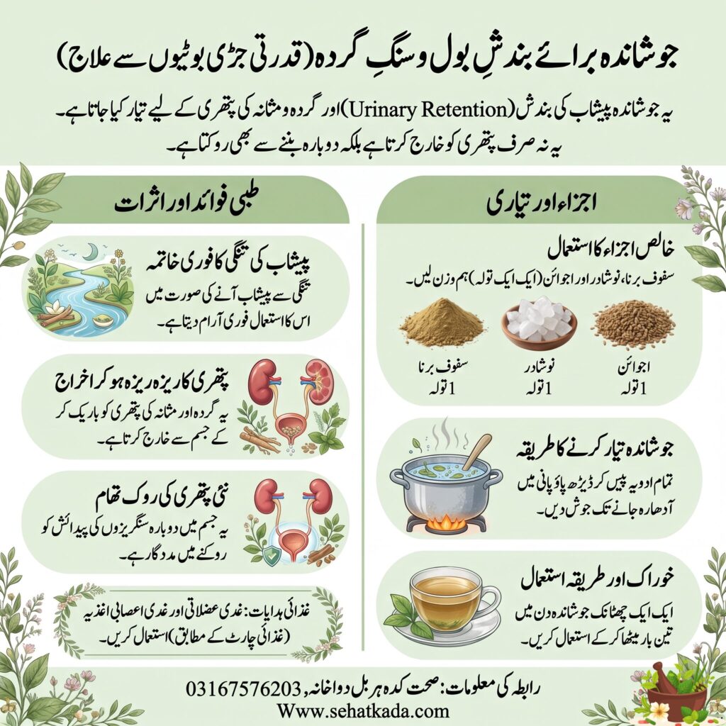 Peshab Band Hona Ka Ilaj | Kidney Stone & Bladder Stone Joshanda | Bandish-e-Bol Herbal Remedy | پیشاب بند ہونے اور پتھری کا مجرب جوشاندہ